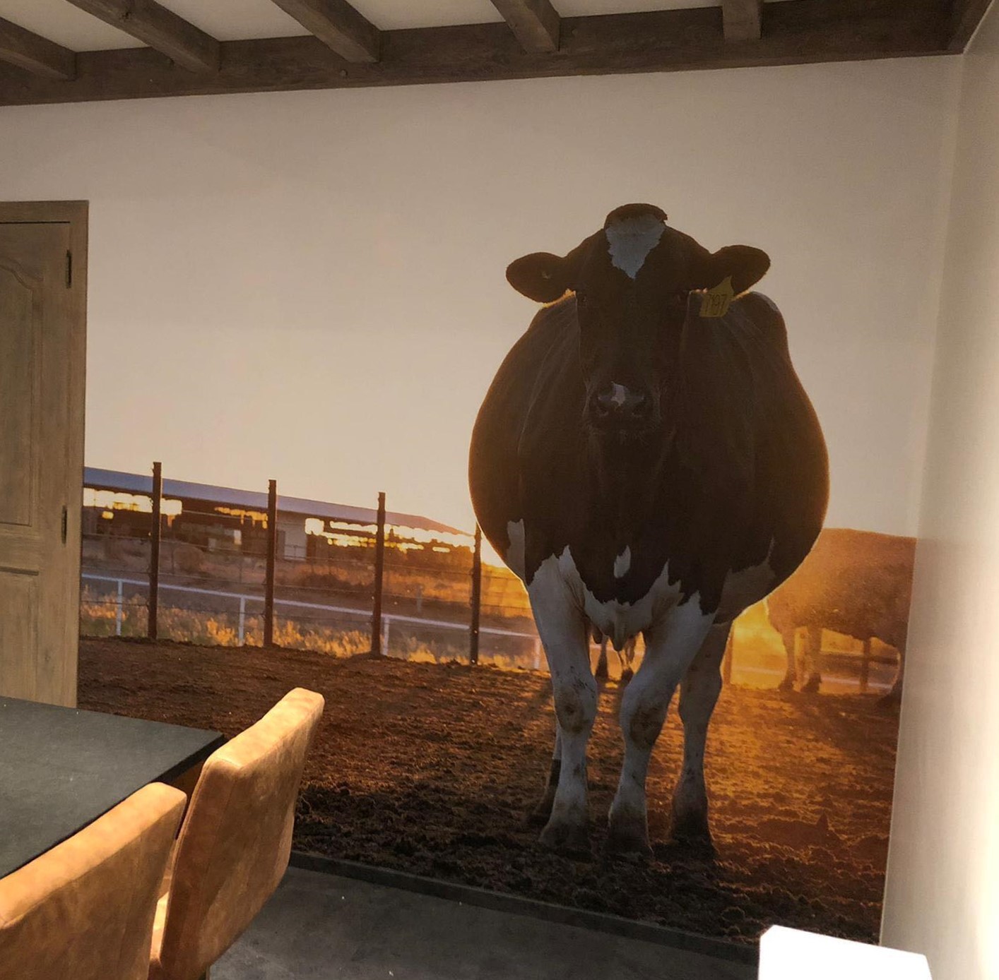 138967745 232094904957789 6897982335354026773 N (1)