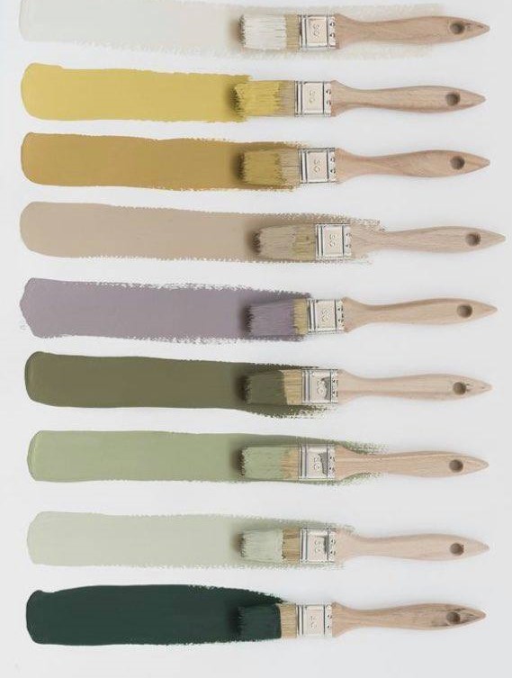 Tes Style2 Image Box Bg